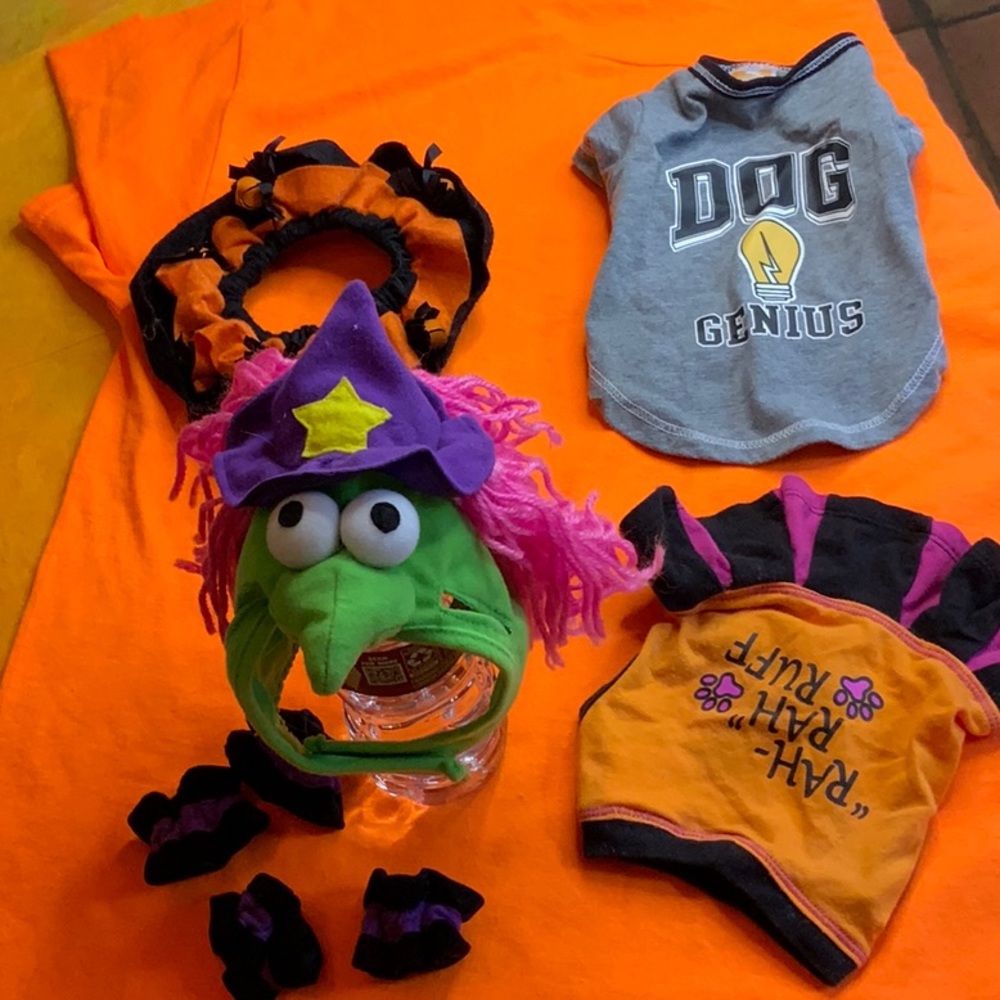 Halloween Pet costumes